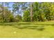 Lush green golf course showcasing pristine greens, well-manicured fairways, and mature trees at 137 Low Tide Ct, Charleston, SC 29492