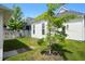 Backyard featuring a lawn, new landscaping, and a brick walkway for outdoor living at 139 Clear Bend Ln, Summerville, SC 29486