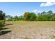 Large lot with a mix of cleared space and trees, offering potential for building or recreation at 1606 Stovall Ct, Johns Island, SC 29455