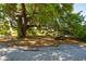 Beautiful park setting featuring a large tree, picnic table, and gravel path, offering a serene outdoor experience at 1606 Stovall Ct, Johns Island, SC 29455
