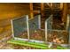 Chicken coop's nesting boxes with eggs ready to be collected at 1621 Wannamaker Ave, Summerville, SC 29485