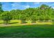 Lush green backyard featuring mature trees and a well-maintained lawn at 1823 Chauncys Ct, Mount Pleasant, SC 29466