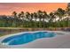 Outdoor pool with lush landscaping, perfect for relaxing or entertaining guests at 214 Squire Pope Rd, Summerville, SC 29486