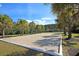 Outdoor sand volleyball court ready for play surrounded by palm trees and well-maintained grass at 2254 Beckenham Dr, Mount Pleasant, SC 29466