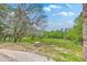A serene backyard view featuring lush greenery, mature trees, and a blue sky, perfect for relaxation at 404 Fairington Dr, Summerville, SC 29485