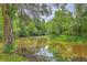 Peaceful pond surrounded by lush greenery and tall trees, offering a tranquil nature view at 404 Fairington Dr, Summerville, SC 29485