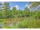 Picturesque pond surrounded by lush greenery and trees, reflecting a serene and natural landscape at 404 Fairington Dr, Summerville, SC 29485