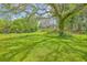 Lush green lawn with a large, mature tree, offering shade and a beautiful landscape for outdoor enjoyment at 404 Fairington Dr, Summerville, SC 29485