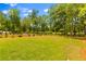 Expansive backyard features a well-maintained lawn, mature trees, and fresh landscaping at 481 Woodland Shores Rd, Charleston, SC 29412