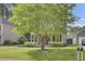 Well-kept front yard with a mature tree providing shade for the red home at 4856 Cane Pole Ln, Summerville, SC 29485