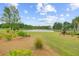Scenic view of a lush lawn, tall trees, and tranquil pond in a verdant outdoor space at 523 Fern Tree Dr, Summerville, SC 29486