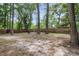 Spacious backyard with mature trees and a wooden fence, perfect for outdoor activities at 5817 Canterbury Dr, Hanahan, SC 29410