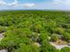 Beautiful aerial view of lush green landscape with the ocean visible in the distance at 667 Shortwood St, Charleston, SC 29412
