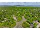 Stunning aerial view of lush greenery and the Charleston Harbor in the distance at 667 Shortwood St, Charleston, SC 29412