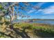 Scenic view of the dock over the lush marsh with blue skies overhead at 7897 Russell Creek Dr, Edisto Island, SC 29438