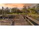 Scenic view of a wooden dock leading to a charming home nestled among lush greenery, evoking tranquility at 7897 Russell Creek Dr, Edisto Island, SC 29438