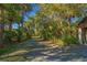 Picturesque gravel driveway surrounded by lush trees, creating a peaceful and inviting entrance at 7897 Russell Creek Dr, Edisto Island, SC 29438