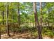 Beautiful wooded backyard with many trees giving a sense of privacy at 118 Alpine Rd, Summerville, SC 29485