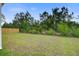 A large backyard with healthy grass and a wooden fence in the background at 143 West Bradford Pointe Dr, Summerville, SC 29486
