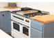 Close-up of a stainless steel kitchen oven with a white body and blue cabinets at 205 Tea Farm Rd, Summerville, SC 29483