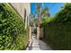 Lush pathway surrounded by vibrant greenery leads to an inviting outdoor space at 24 Archdale St, Charleston, SC 29401