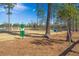 Community dog park with agility equipment surrounded by trees, offering a fun space for canine residents at 282 Great Lawn Dr, Summerville, SC 29486