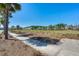 A view of a neighborhood with landscaped yards and sidewalks, framed by lush trees at 282 Great Lawn Dr, Summerville, SC 29486