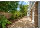 Gravel side yard showcasing lush landscaping, a wooden fence, and private access to the home at 3 37Th Ave, Isle of Palms, SC 29451