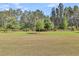 Green backyard featuring mature trees, providing shade and privacy at 440 Four Seasons Blvd, Summerville, SC 29486