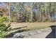 Spacious backyard features a well-maintained lawn with a backdrop of lush, mature trees at 534 Four Seasons Blvd, Summerville, SC 29486