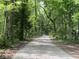 Picturesque gravel driveway leading through lush greenery, offering a serene entrance at 5354 Ceva Dr, Hollywood, SC 29449