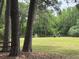 Expansive green pasture land surrounded by mature trees and a wooden fence at 5354 Ceva Dr, Hollywood, SC 29449