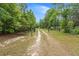 Gated driveway entrance leading through lush, green trees toward a secluded property, promising privacy and natural beauty at 5653 Wire Rd, Branchville, SC 29432
