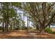 Picturesque scene of a shaded wooded area with mature trees and moss-draped branches creating a tranquil atmosphere at 700 Daniel Ellis Dr # 4104, Charleston, SC 29412