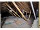 Attic space with unfinished walls, roof, and floors at 113 Dove Ln, Summerville, SC 29485