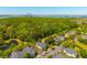 An aerial view of the property with lush greenery, neighborhood streets, and nearby waterfront features at 1225 Blakeway St # 1401, Charleston, SC 29492