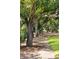 Scenic walking path with lush trees and Spanish moss, perfect for an evening stroll at 1644 Fort Palmetto Cir, Mount Pleasant, SC 29466