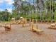 A well-maintained community playground featuring wood structures, swings, slides and picnic benches on a wood chip base at 244 Wild Strawberry Ln, Moncks Corner, SC 29461