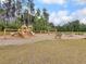 A scenic community playground featuring wood structures, swings, and slides surrounded by a wooded area at 244 Wild Strawberry Ln, Moncks Corner, SC 29461