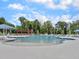 A large outdoor swimming pool with ample lounge chairs and umbrellas surrounded by trees on a sunny day at 244 Wild Strawberry Ln, Moncks Corner, SC 29461