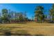 Expansive open field, perfect for outdoor activities, sports, and community events within the neighborhood at 3025 Buckeley Cir, Charleston, SC 29414
