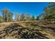 Expansive green space with trees offering room to roam and relax at 3025 Buckeley Cir, Charleston, SC 29414