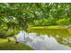 Picturesque pond with geese, offering a serene and natural backdrop to the property at 3025 Buckeley Cir, Charleston, SC 29414