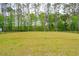 Large backyard featuring lush green grass, a black metal fence, and a backdrop of tall, mature trees at 307 Theus Pl, Huger, SC 29450