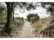 Sandy path to waterfront with lush trees and vegetation on either side of the community at 3320 Myrtle St, Edisto Island, SC 29438