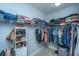 Spacious walk-in closet offering ample storage with shelves, hanging rods, and a laundry basket for convenience at 3941 Bessemer Rd, Mount Pleasant, SC 29466
