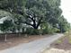 Scenic path with large trees providing shade and lush landscaping at 401 Oak Hammock Ct # 48, Johns Island, SC 29455