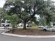 Scenic street view with a large tree providing shade, and cars parked nearby at 401 Oak Hammock Ct # 48, Johns Island, SC 29455