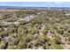 Aerial view of a neighborhood with lush trees, waterways, city views and a bridge in the distance at 521 Pelzer Dr, Mount Pleasant, SC 29464