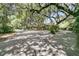 Long, winding driveway shaded by mature trees creating a tranquil and inviting entrance to the property at 521 Pelzer Dr, Mount Pleasant, SC 29464